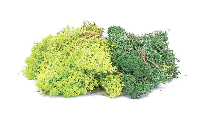 Hornby R7194 Skale Scenics Lichen Dark Green 35g OO/HO Scale
