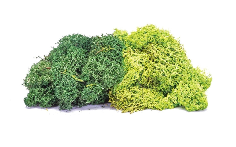 Hornby R7195 Skale Scenics Lichen Dark Green 75g OO/HO Scale