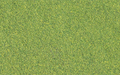 Woodland Scenics T49 Blended Turf Green Blend
