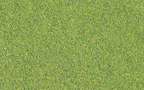 Woodland Scenics T49 Blended Turf Green Blend