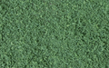 Woodland Scenics T65 Coarse Turf Dark Green
