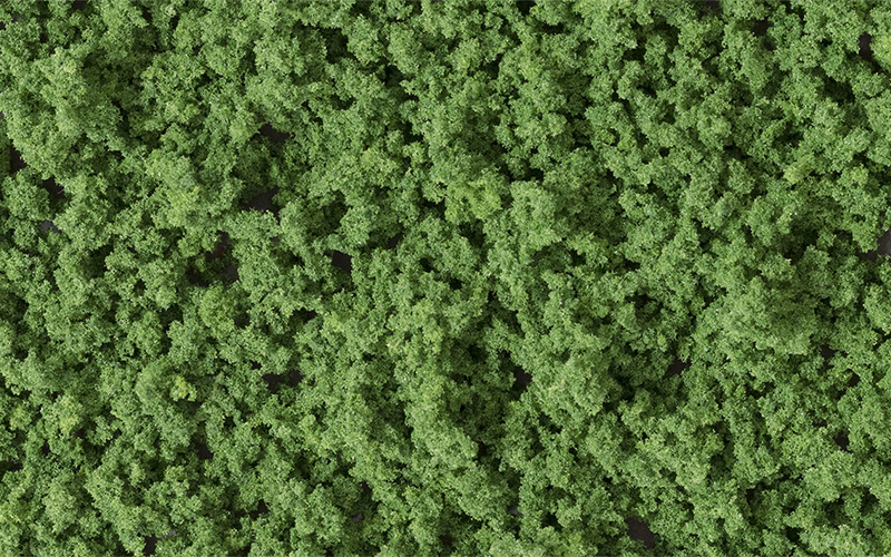 Woodland Scenics FC1636 Underbrush Medium Green Shaker
