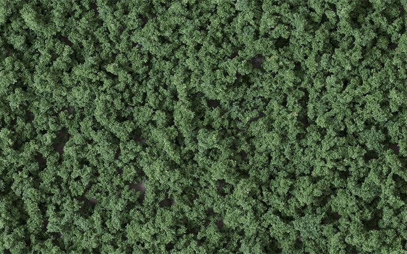 Woodland Scenics FC1637 Underbrush Dark Green Shaker
