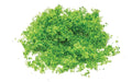 Hornby R7161 Skale Scenics Flock Bright Green 20g HO/OO Scale