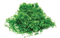 Hornby R7162 Skale Scenics Flock Medium Green 20g HO/OO Scale