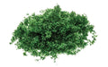 Hornby R7163 Skale Scenics Flock Dark Green 20g HO/OO Scale