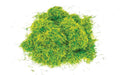 Hornby R7179 Skale Scenics Scatter Grass Ornamental Lawn 20g HO/OO Scale