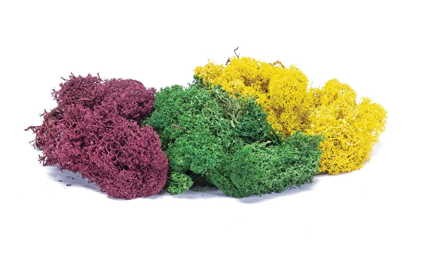 Hornby R7197 Skale Scenics Lichen Autumn Mix 75g HO Scale