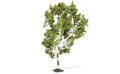Hornby R7215 Skale Scenics Profi Trees Birch Tree 11.5cm HO/OO Scale