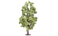 Hornby R7223 Skale Scenics Profi Trees Lime Tree 18.5cm HO/OO Scale
